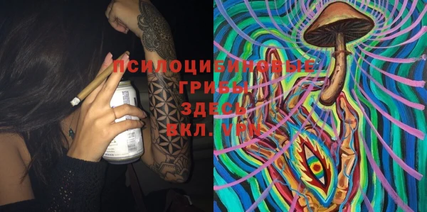 МДПВ Коряжма