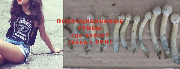 mdpv Костерёво