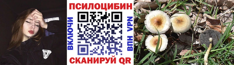 Купить  Джанкой  Псилоцибиновые грибы Magic Shrooms 